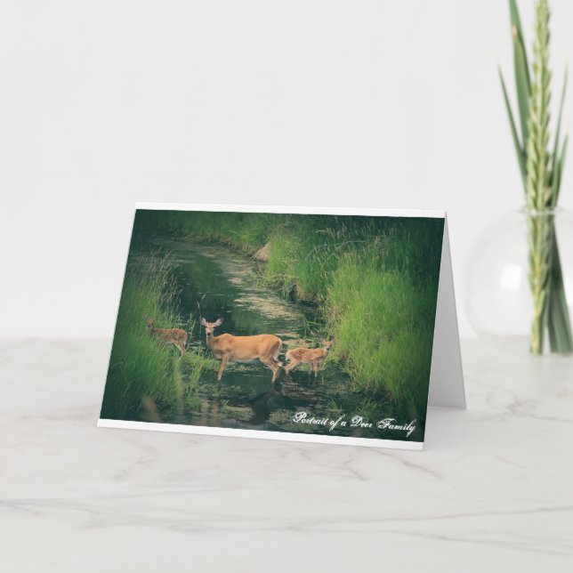 Carte Portrait d'une famille de cerfs communs (Devant)