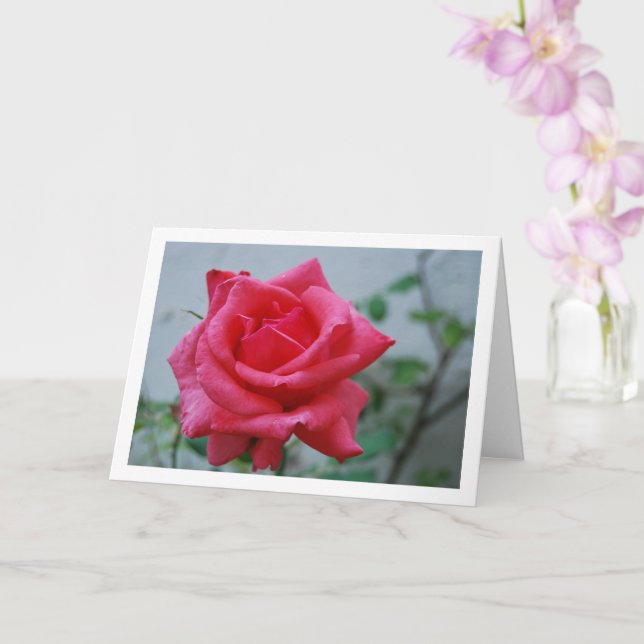 Carte Portrait floral rose (Orchidée)