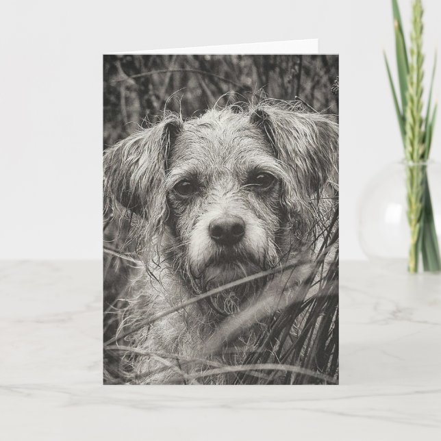 Carte Portrait noir et blanc mignon et chiot photo (Devant)