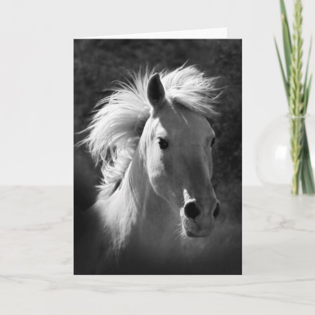 Carte Portrait V de cheval (Devant)