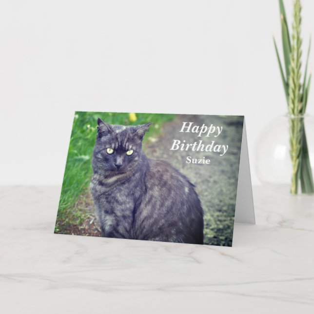 Carte Pose de chat en position assise Joyeux anniversair (Devant)