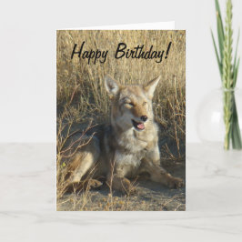 Carte Pose du coyote R18