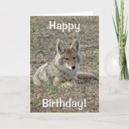 Carte Pose du coyote R22