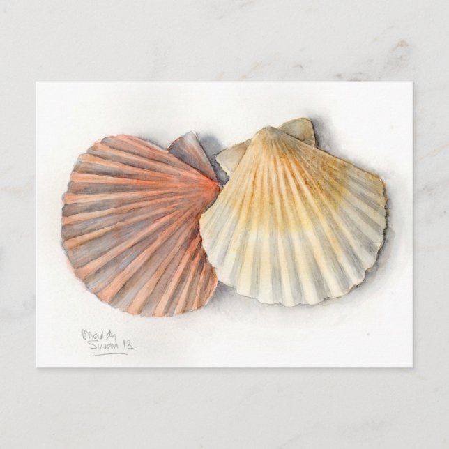 Carte Post Art - Coques de mer, Aquarelle (Devant)