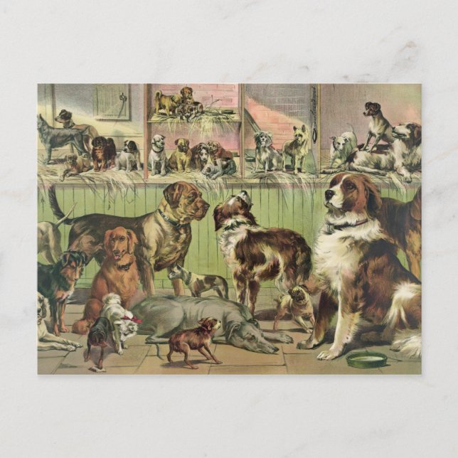 Carte postale (Devant)