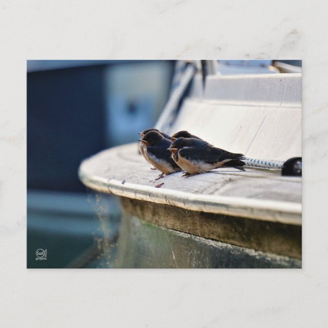 Carte postale (Devant)