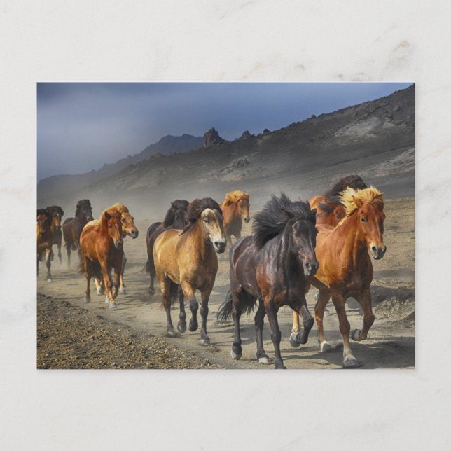 carte postale (Devant)