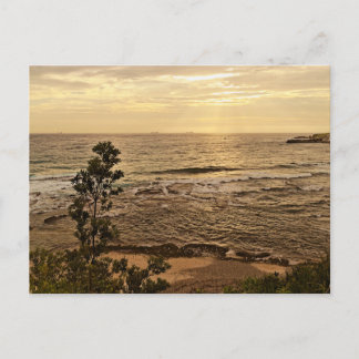 Carte postale