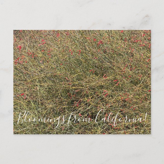 Carte postale (Devant)