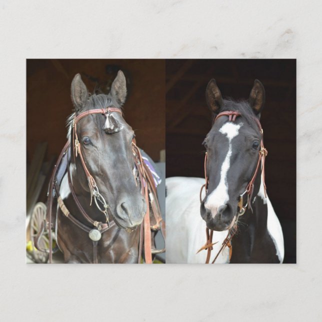 carte postale (Devant)