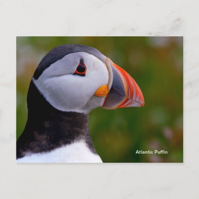 Carte postale (Devant)