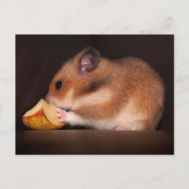 Carte postale (Devant)