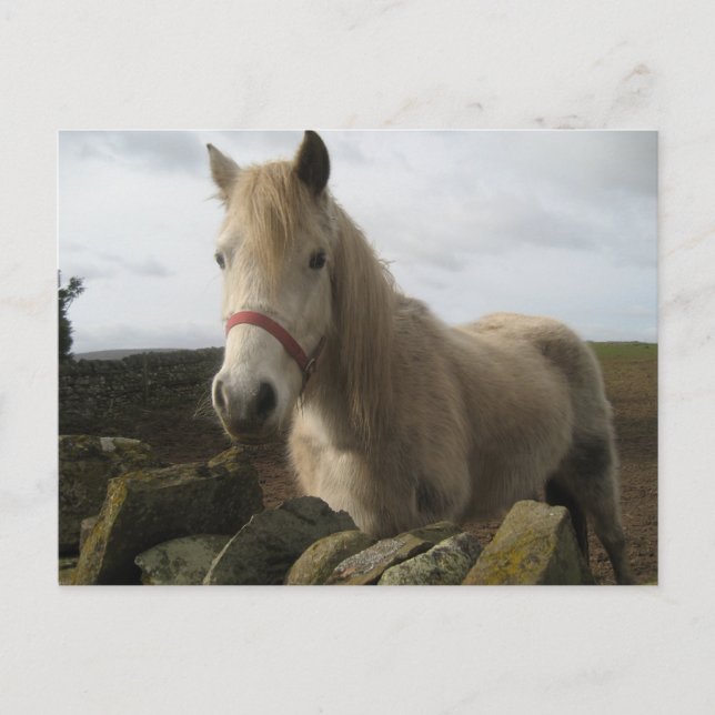 Carte postale (Devant)