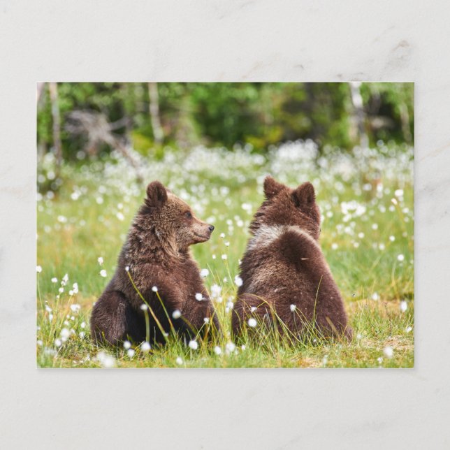 Carte postale (Devant)