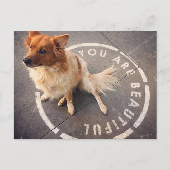 Carte postale (Devant)