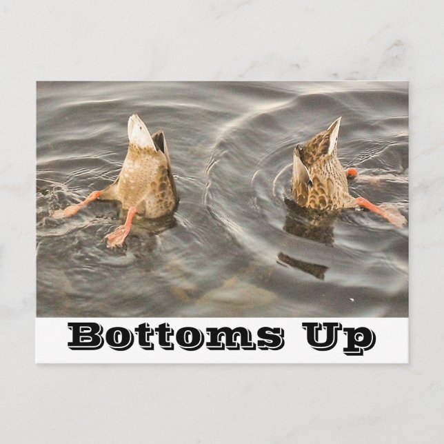 Carte postale (Devant)