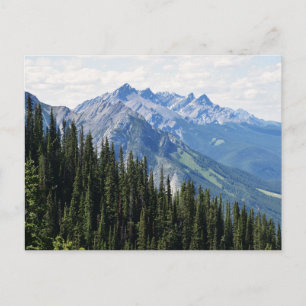 Carte postale