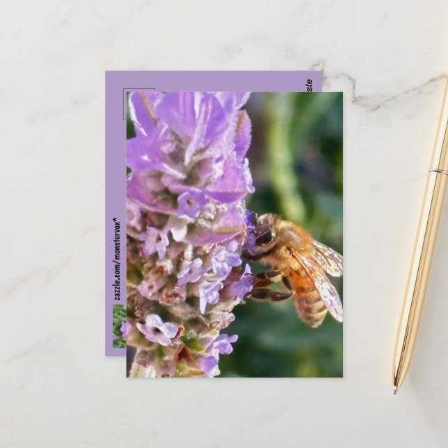 Carte postale (Devant/Arrière en situation)