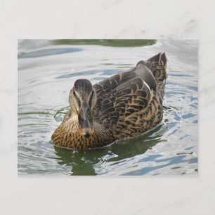 Carte postale