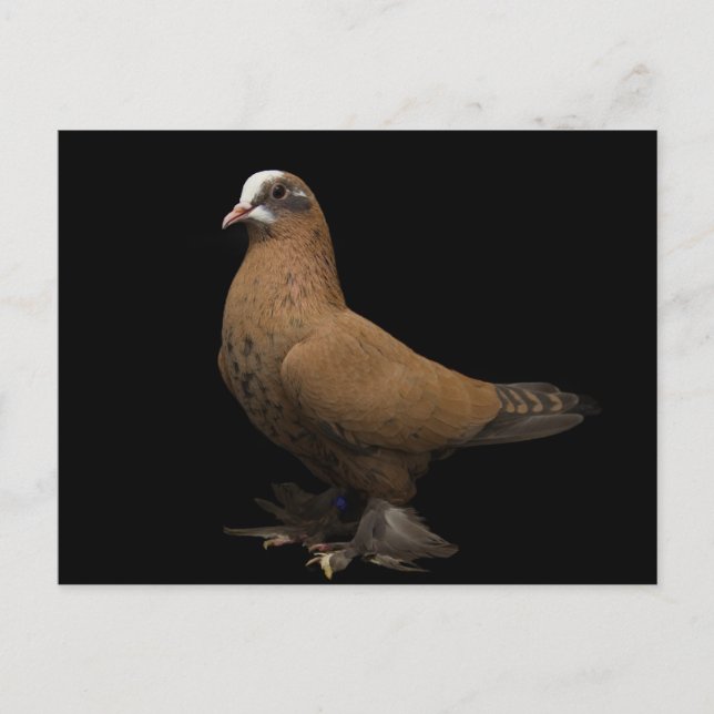 Carte postale (Devant)