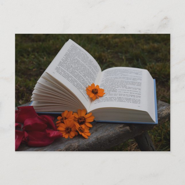 Carte postale (Devant)