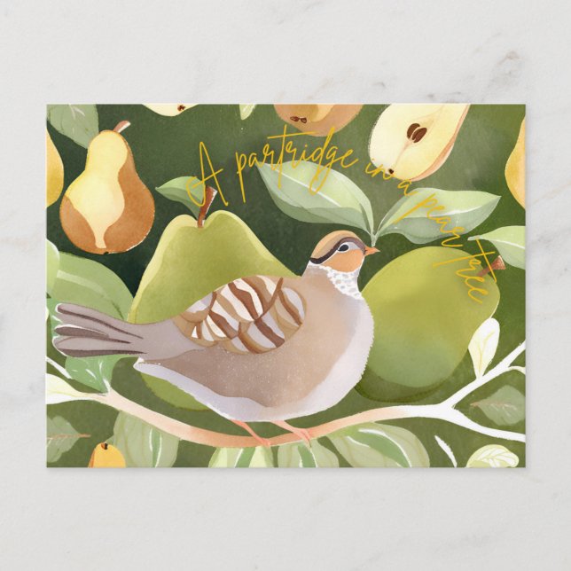 Carte postale (Devant)