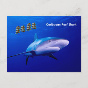 Carte postale