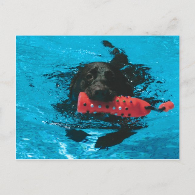 Carte postale (Devant)