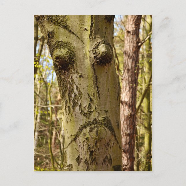 carte postale (Devant)