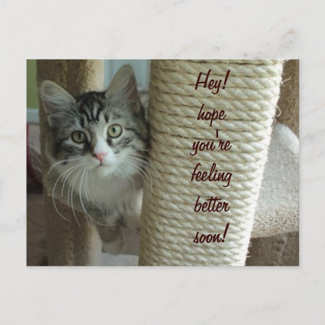 Carte postale (Devant)