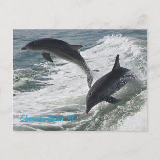 Carte postale