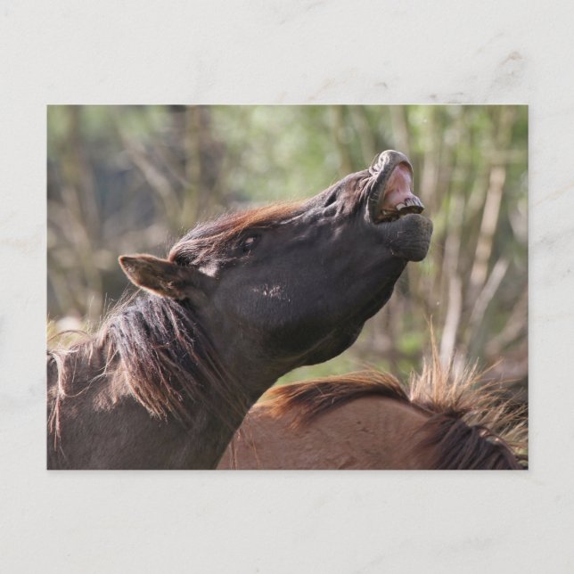 carte postale (Devant)