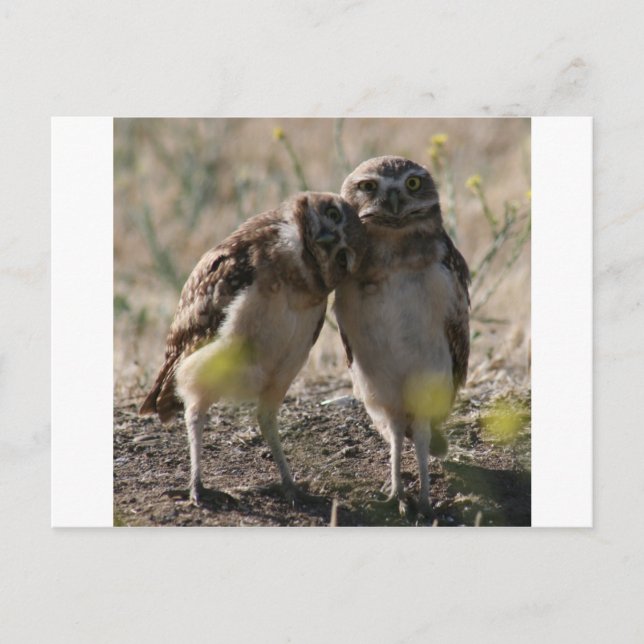 carte postale (Devant)