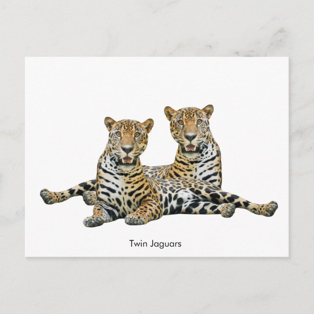 Carte postale (Devant)