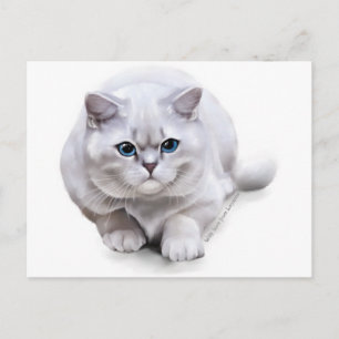 Carte Postale С à la race British Shorthair