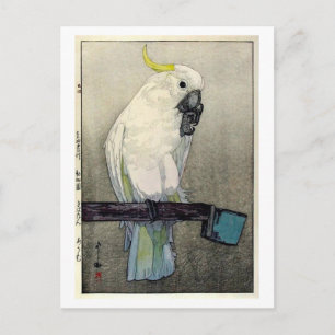 Carte Postale キ バ ン ・ タ, ウ, Sulphur-crested cockatoo, Yoshida