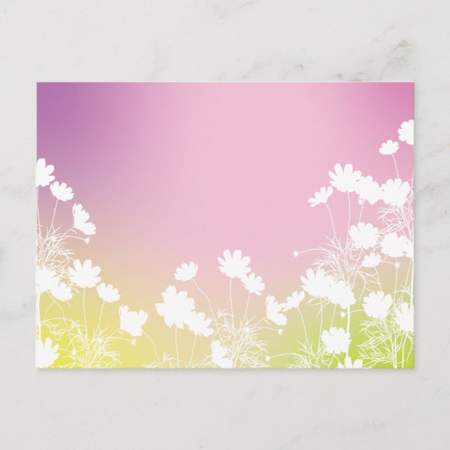 CARTE POSTALE コスモスの花｜秋の風を感じるポストカード (Devant)