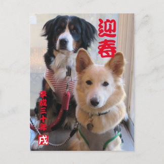 CARTE POSTALE バーニーズマウンテンドッグとワイルドミックスドッグ　年賀状　2018年　戌年
