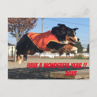 CARTE POSTALE バーニーズマウンテンドッグ　年賀状　2018年　戌年