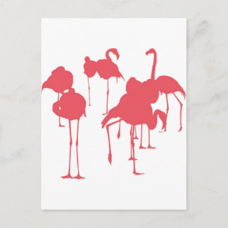 CARTE POSTALE フ ン