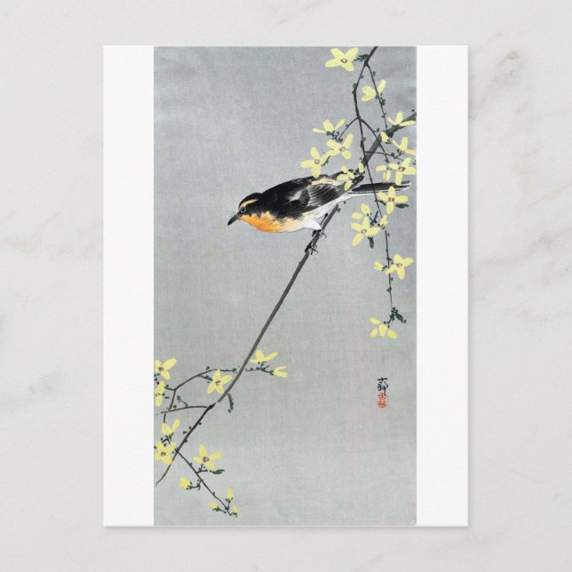Carte Postale レ ン ョ に ギ 小 鳥,  Bird sur Forsythia, Ohara Koson (Devant)