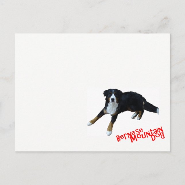 CARTE POSTALE ー ニ ズ マ ー ン ン テ  (Devant)