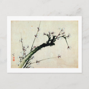Carte Postale 梅 花, 北 Fleurs 斎 de prunes, Hokusai, Ukiyo-e