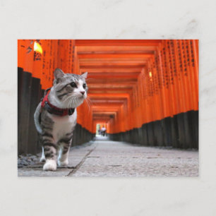 CARTE POSTALE 野 良 猫 ニ ャ 伏 見 ン 吉   稲  