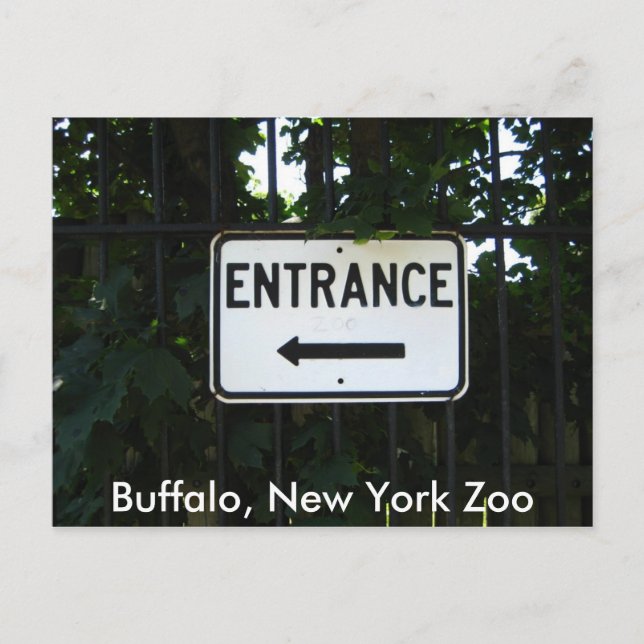 Carte Postale 001, Buffalo, New York Zoo (Devant)
