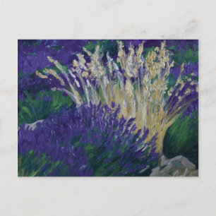 Carte Postale 0071-le champ de lavande