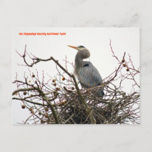 CARTE POSTALE 040111-70-APC