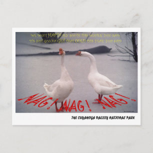 CARTE POSTALE 072506-10-APC NAG, NAG, NAG