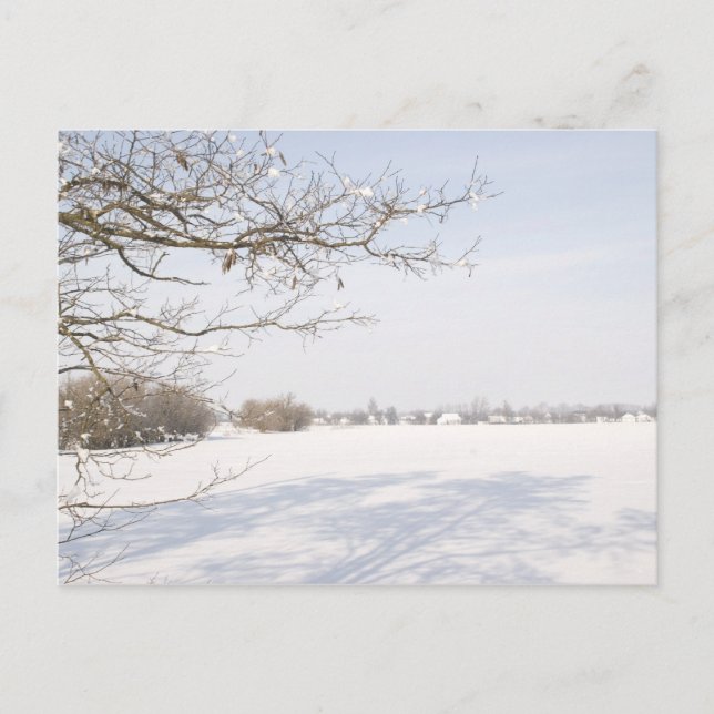 CARTE POSTALE 1 (Devant)