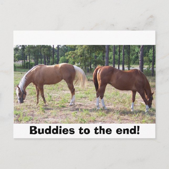 Carte Postale 100_0350, les copains jusqu'à la fin ! (Devant)